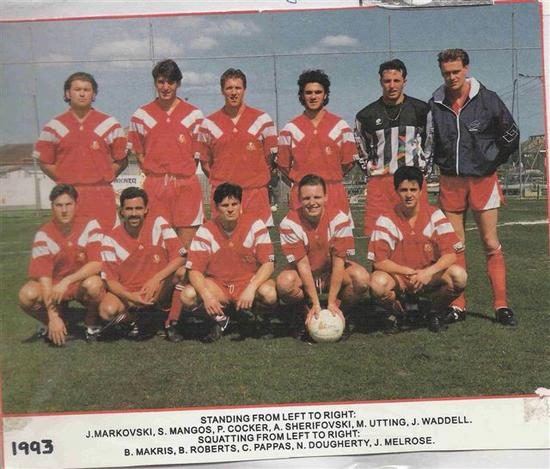1993 team