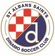 st albans saints dinamo logo